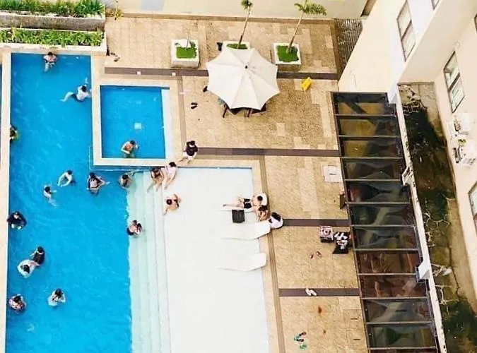 Persimmon Cebu